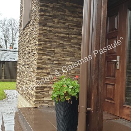 Private house in Teika