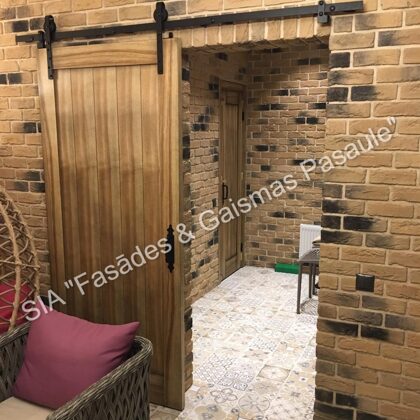 Private house in Teika